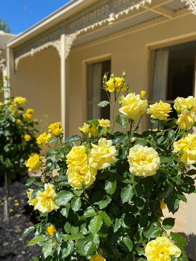 Aparthotel Acacia Terraces Echuca Esterno foto