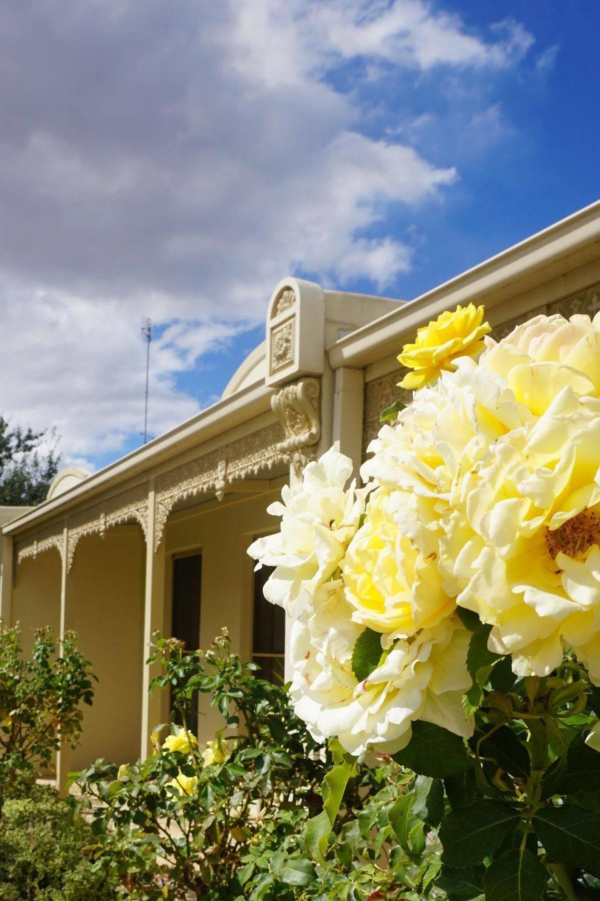 Aparthotel Acacia Terraces Echuca Esterno foto